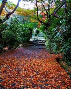 文学韵味的幽静山林岚山•嵯峨野