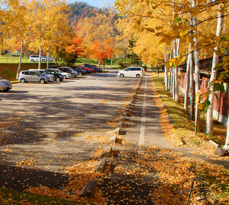 北海道，一年四季都是美