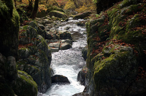 体验日本溪流瀑布的静美