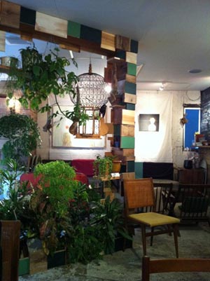 疗愈心灵的新宿森林salo café