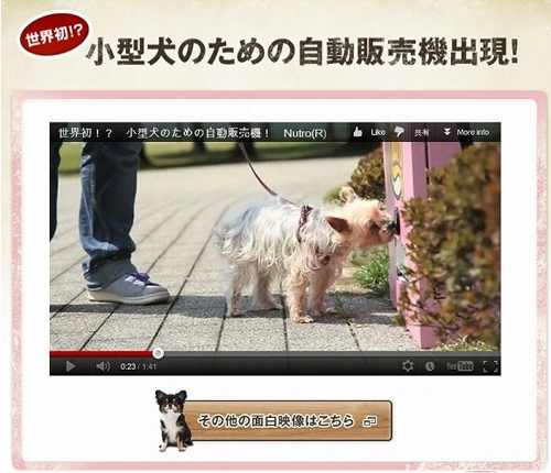 日本推出世界首个“小型犬专用自动贩卖机”