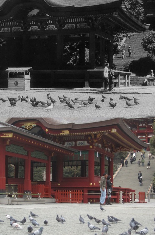 模仿经典电影场景的旅行照片引起话题！