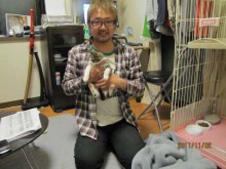 日本男子虐猫或被判刑3年