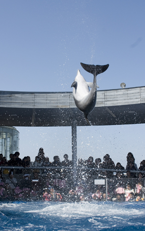 大分海洋宫殿水族馆