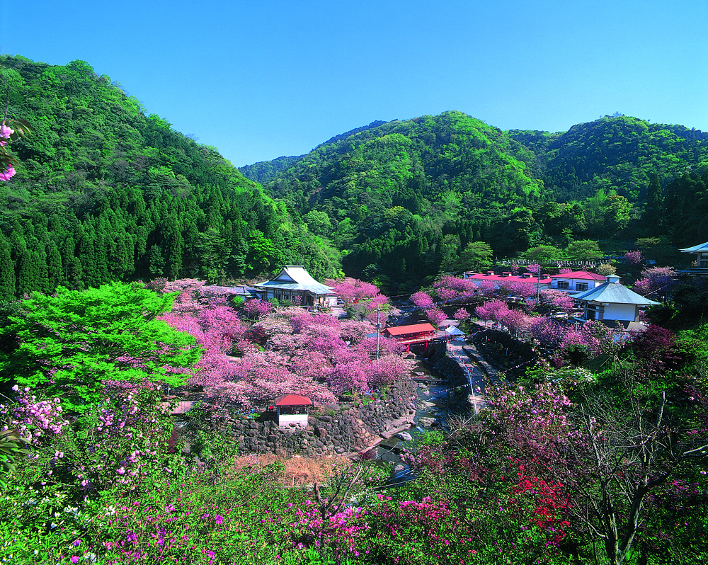 一心寺