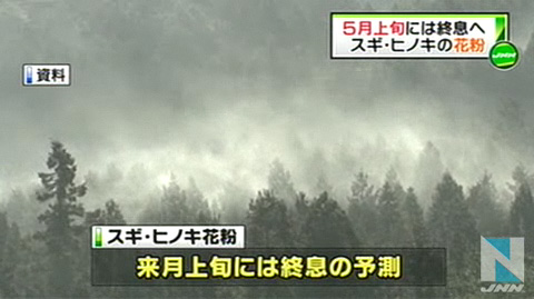 环境省称日本花粉5月上旬将停止传播 日本通