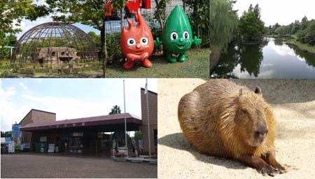 熊本市动植物园