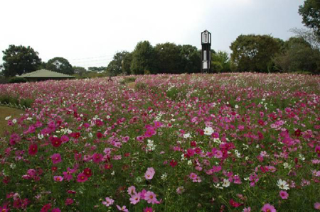 熊本市动植物园