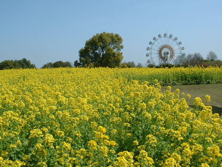 熊本市动植物园