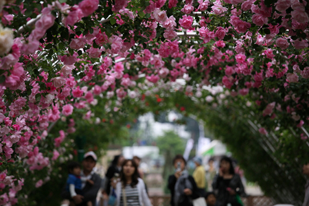 前桥活动日历：5-6月