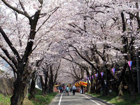 前桥活动日历：4月