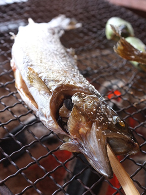鳟鱼料理 日本通