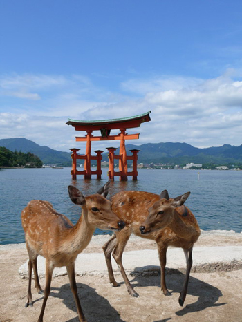外国旅客心目中的日本20处人气旅游景点！