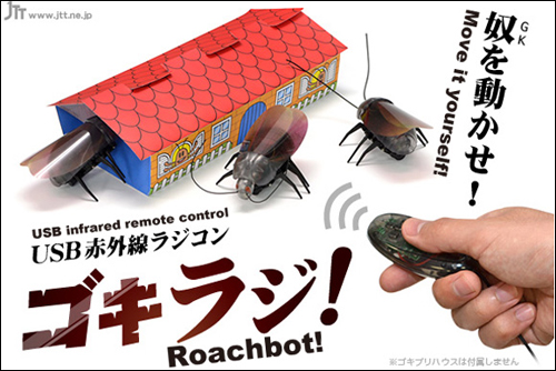 黑色恶魔蟑螂玩具化 可通过红外遥控远距离操控