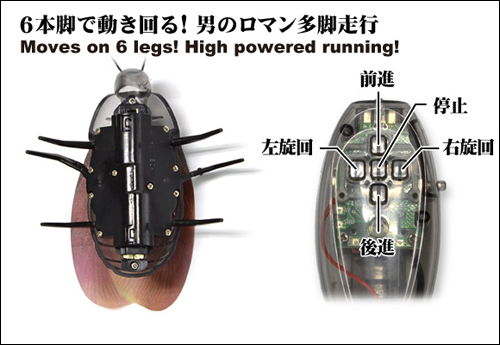 黑色恶魔蟑螂玩具化 可通过红外遥控远距离操控