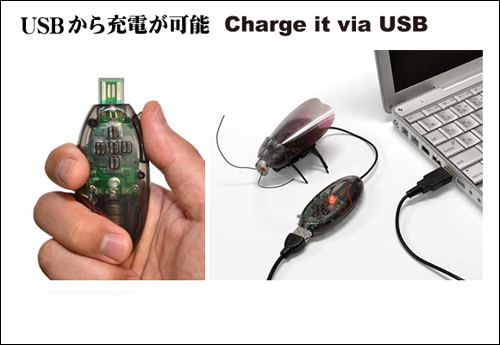 黑色恶魔蟑螂玩具化 可通过红外遥控远距离操控