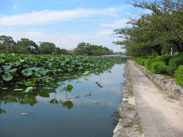 佐贺城公园