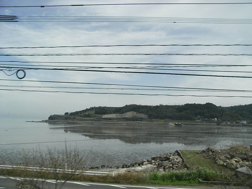 佐贺海苔
