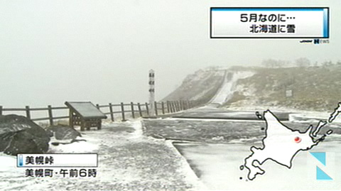 北海道五月飞雪 粉樱白雪景色迷人
