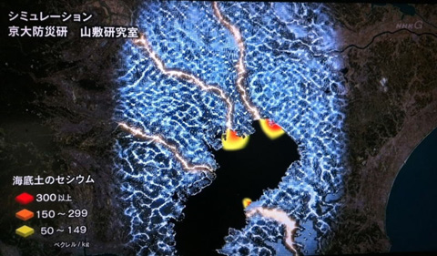 东京湾海底土壤放射性铯含量7个月猛增13倍