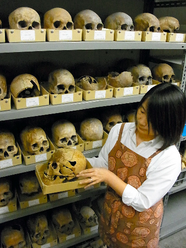 日本科学博物馆万个江户头骨显示时代惨状