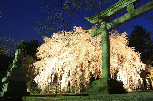 足羽神社