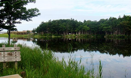 夏日的北海道知床风光迷人