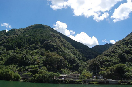 神秘植物王国屋久岛