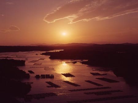 三重县珍珠产地英虞湾