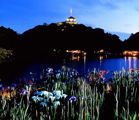 横滨传统庭院公园三溪园