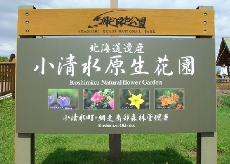 北海道小清水原生花园