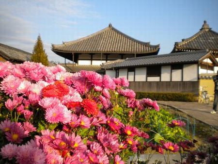 奈良飞鸟寺与日本佛寺文化