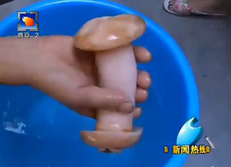 西安女记者误认自慰器为肉灵芝笑翻日本网民