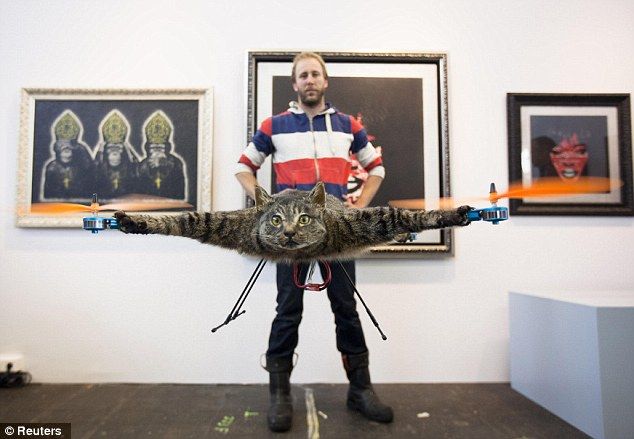 荷兰死猫被主人制成艺术直升机引日本网友热议