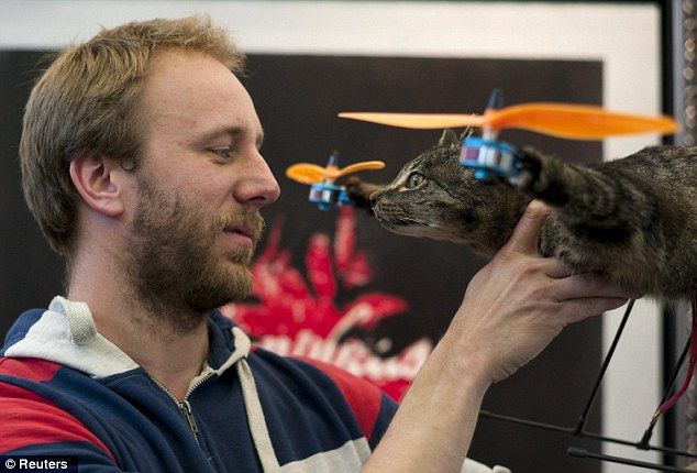 荷兰死猫被主人制成艺术直升机引日本网友热议