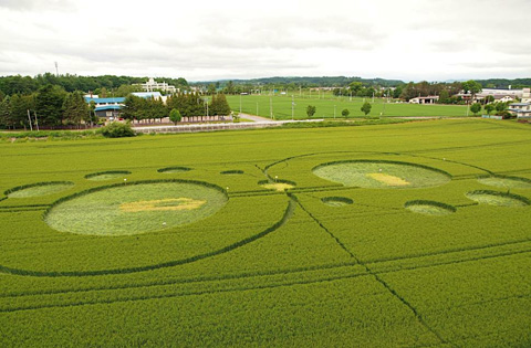 北海道麦田惊现神秘怪圈？是否是超自然现象？