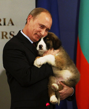 秋田犬赠普京 感谢支援东日本大地震