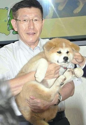 秋田犬赠普京 感谢支援东日本大地震