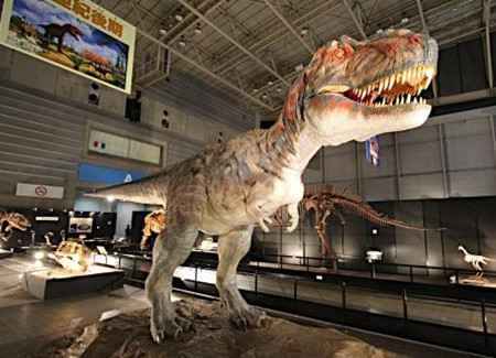 “2012横滨恐龙展”开幕 展期至8月底