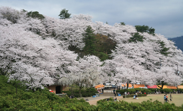 西山公园