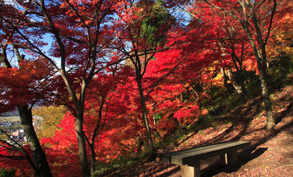 西山公园