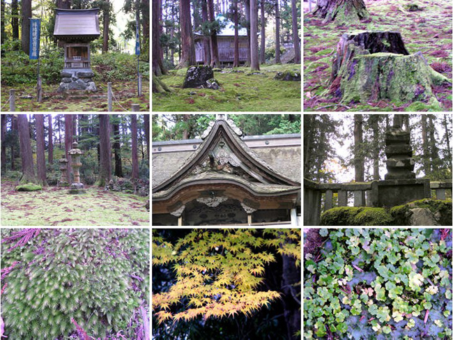 平泉寺 白山神社