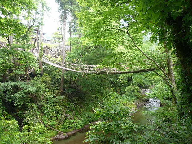 蔓草桥