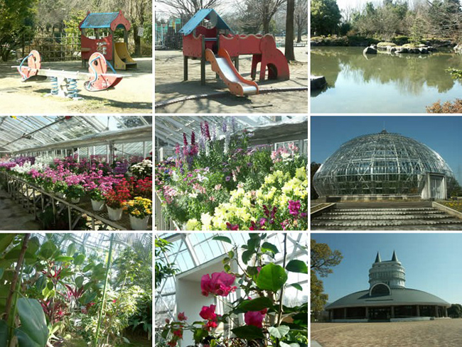 福井综合植物园