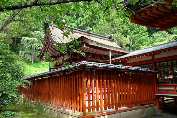 金樱神社