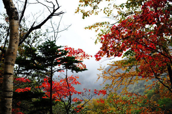 北海道秋天的静美