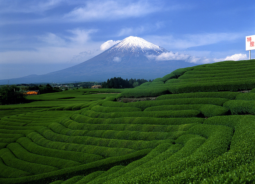 2012年7月富士山登山季温馨贴士