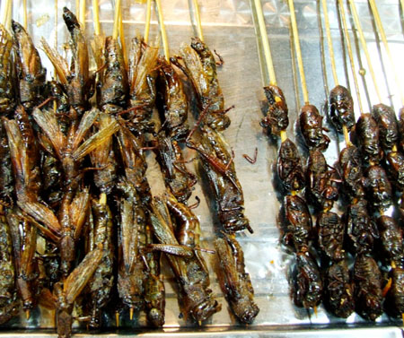长野县长寿3大秘诀 蝗虫亦是营养食品