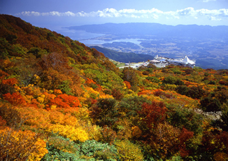 追逐日本红叶前线指南