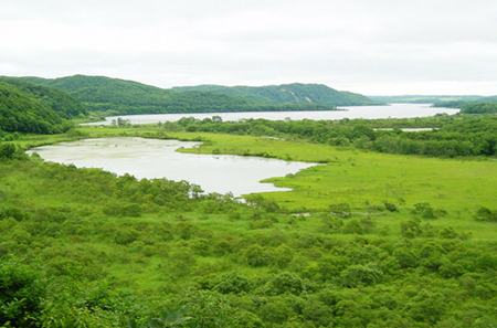 日本钏路湿地丹顶鹤的故乡